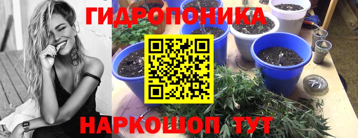 Канабис ГИДРОПОН Каменск-Уральский